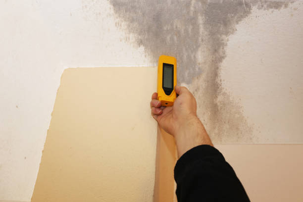 Best Water Damage & Mold Remediation  in Crugers, NY
