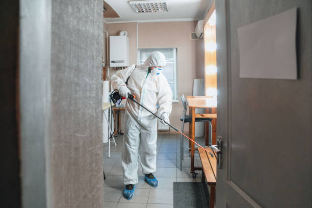 Best Industrial Mold Remediation  in Crugers, NY