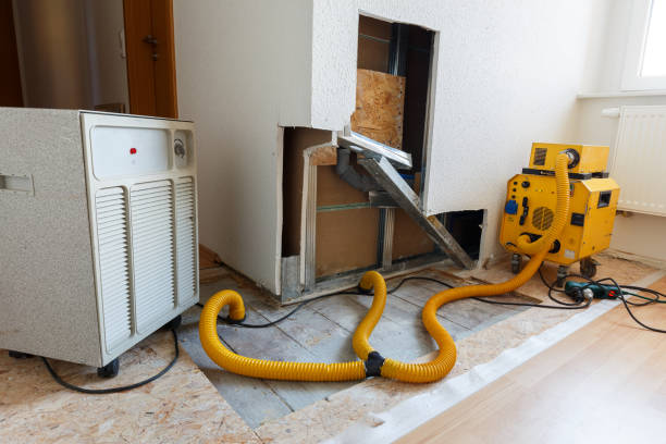 Trusted Crugers, NY Mold Removal Experts